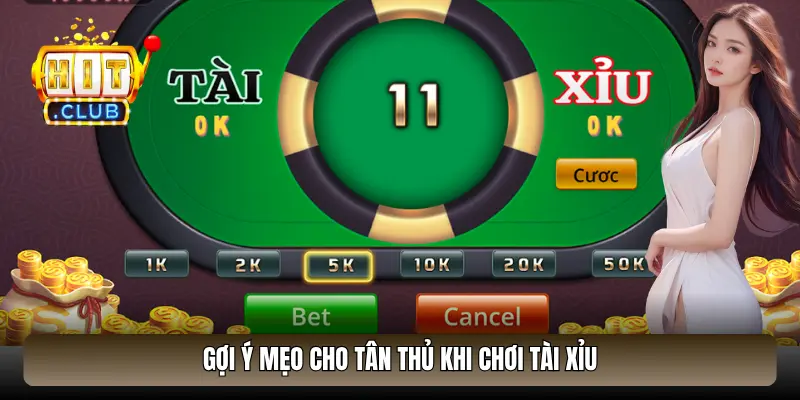 Gợi ý mẹo cho tân thủ khi chơi Tài Xỉu
